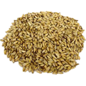 Dextrin (Carapils) Malt, 1.3-1.7L