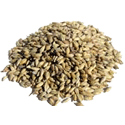 Victory Malt, 22-28 L